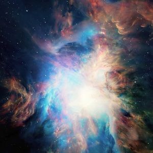 Meet your Posher, Doyle